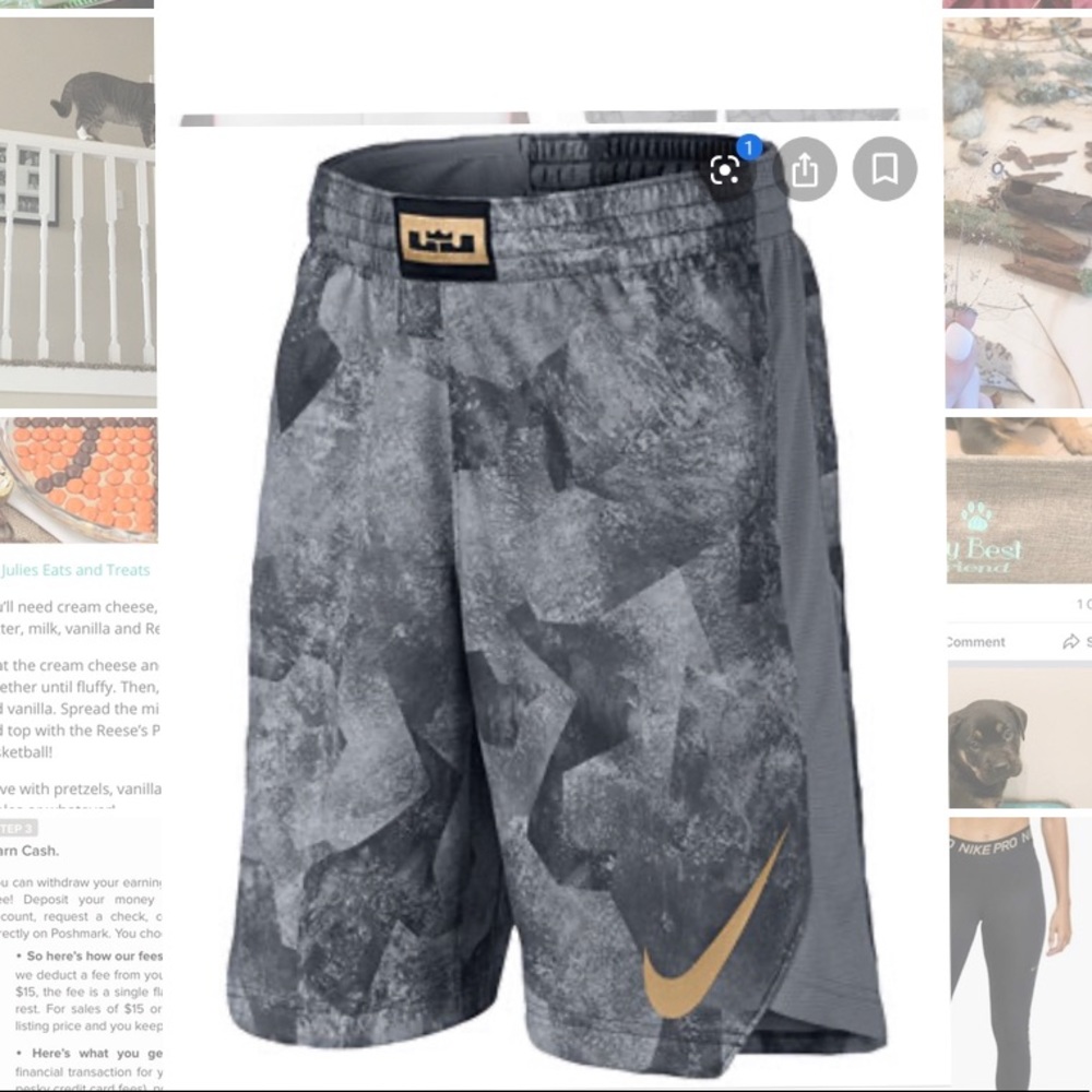 Labron James NIKE Shorts